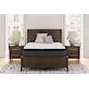 Sleep Shop Haven 2.0 PT Queen Mattress