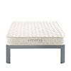 Modway Emma 6" Twin Mattress Foam