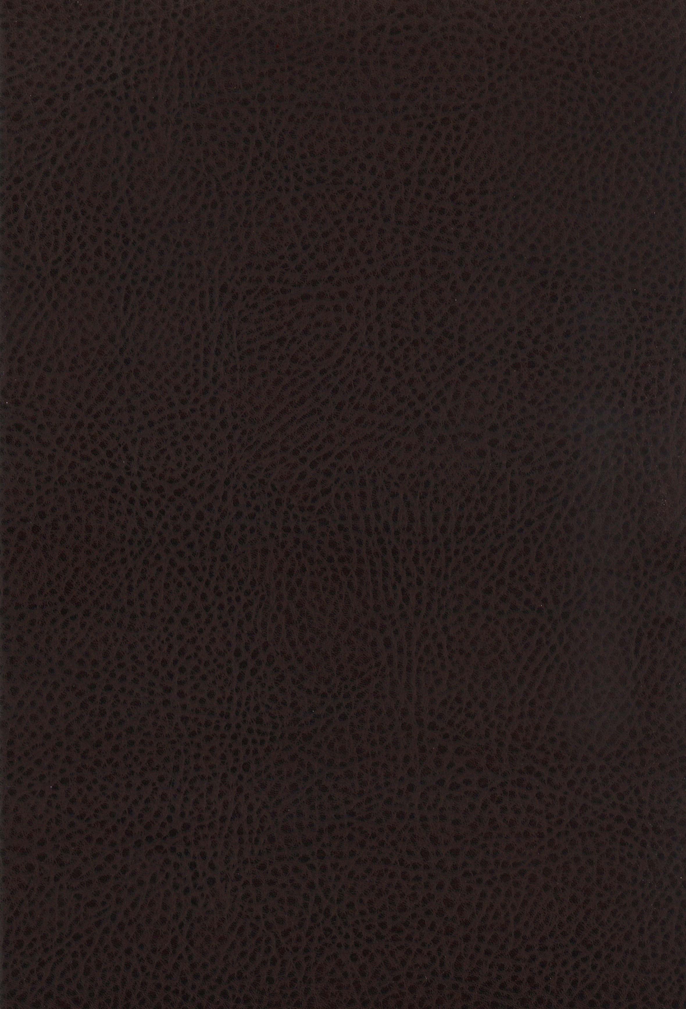 Coaster Dewey Dewey Counter Chair