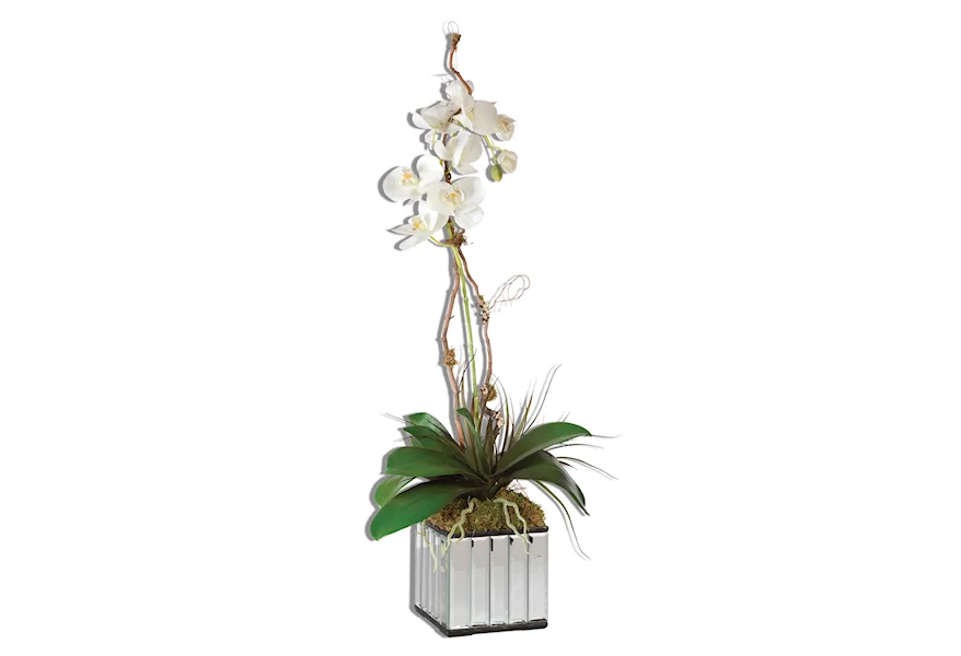 Botanicals White Kaleama Orchids by Uttermost at Z & R Furniture