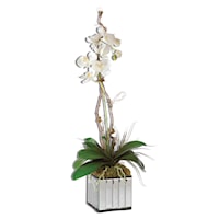 White Kaleama Orchids
