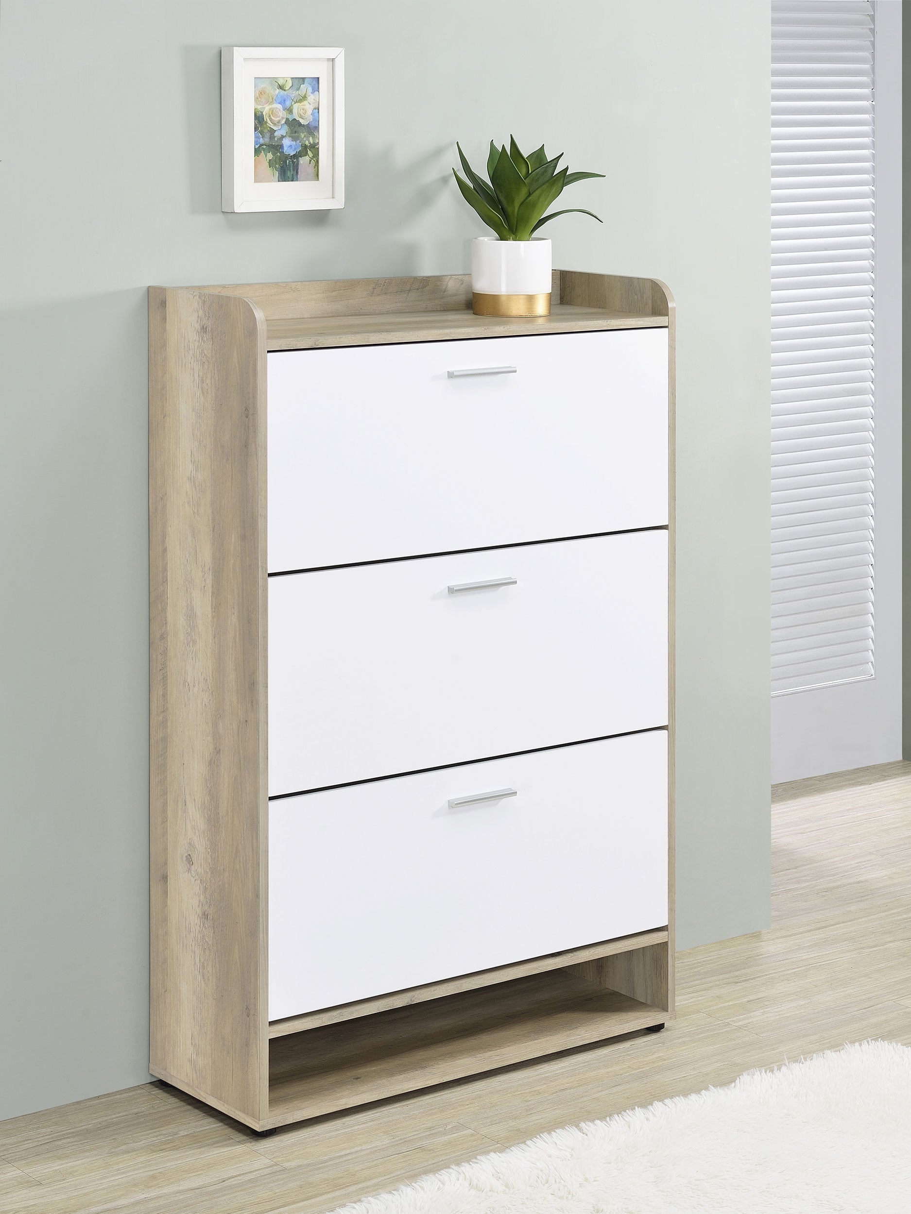 Coaster Denia Denia 3-tier Shoe Cabinet