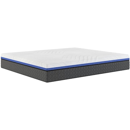 Butterfly Luna 12"" Foam Twin Xl Mattress- Compressed