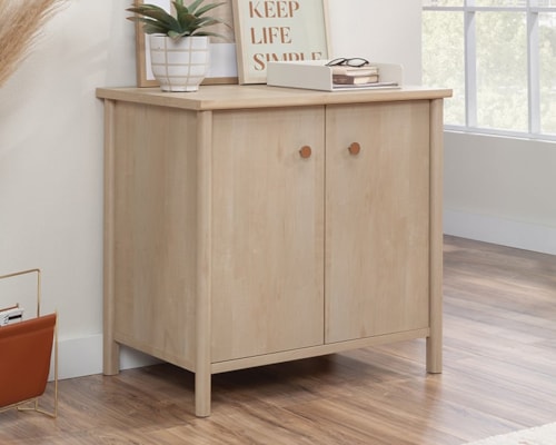 Transitional Two-Door Storage Cabinet with Adjustable Shelf