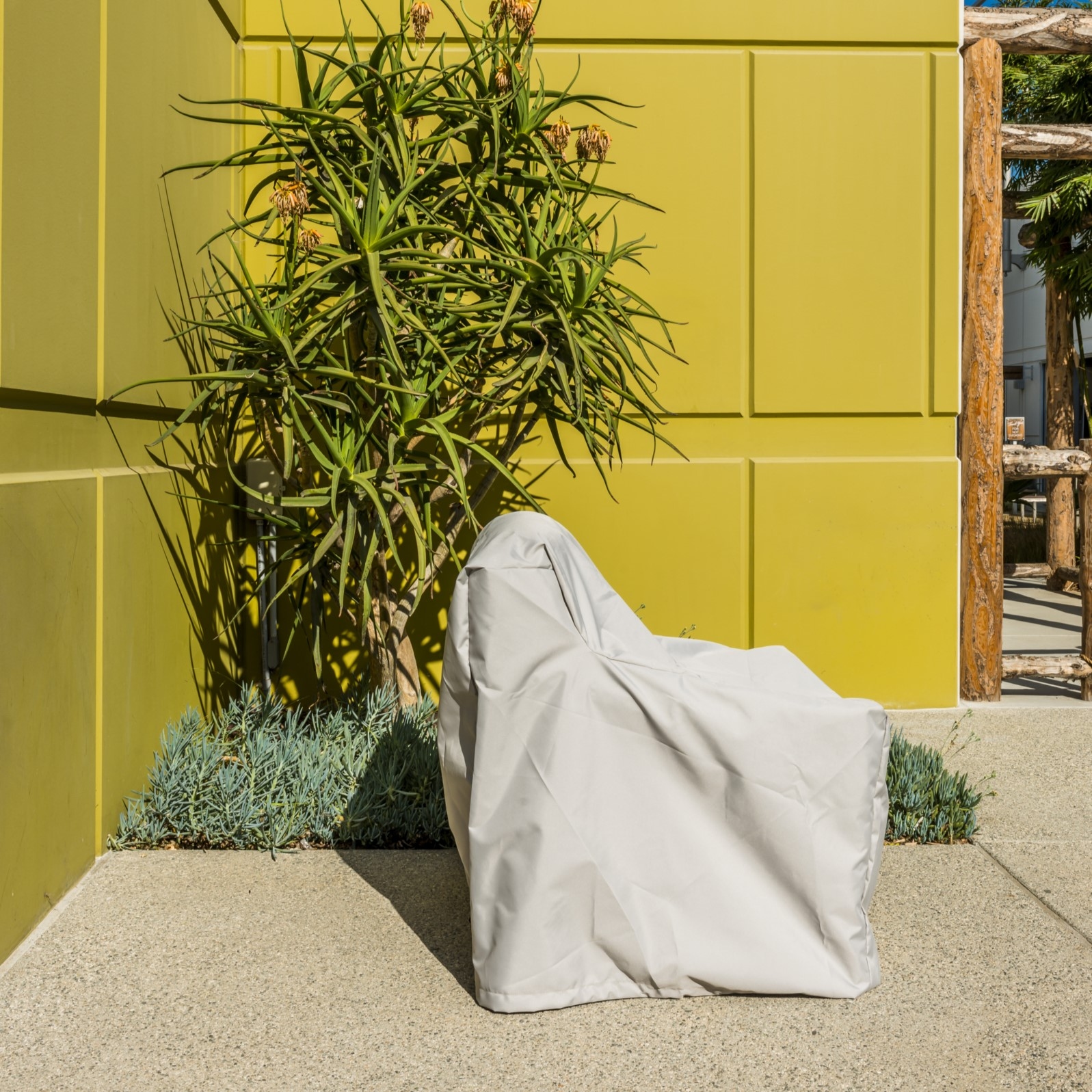 Collection Thumbnail