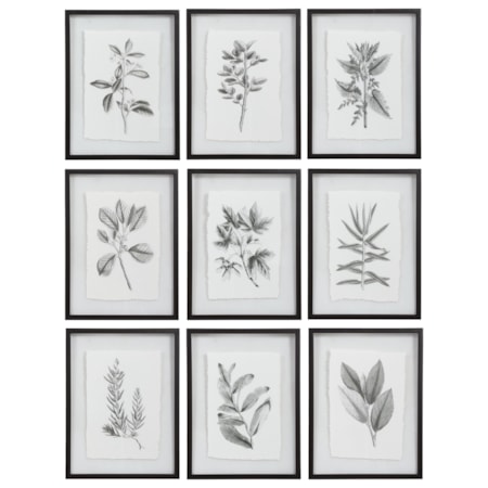 Farmhouse Florals Framed Prints, S/9