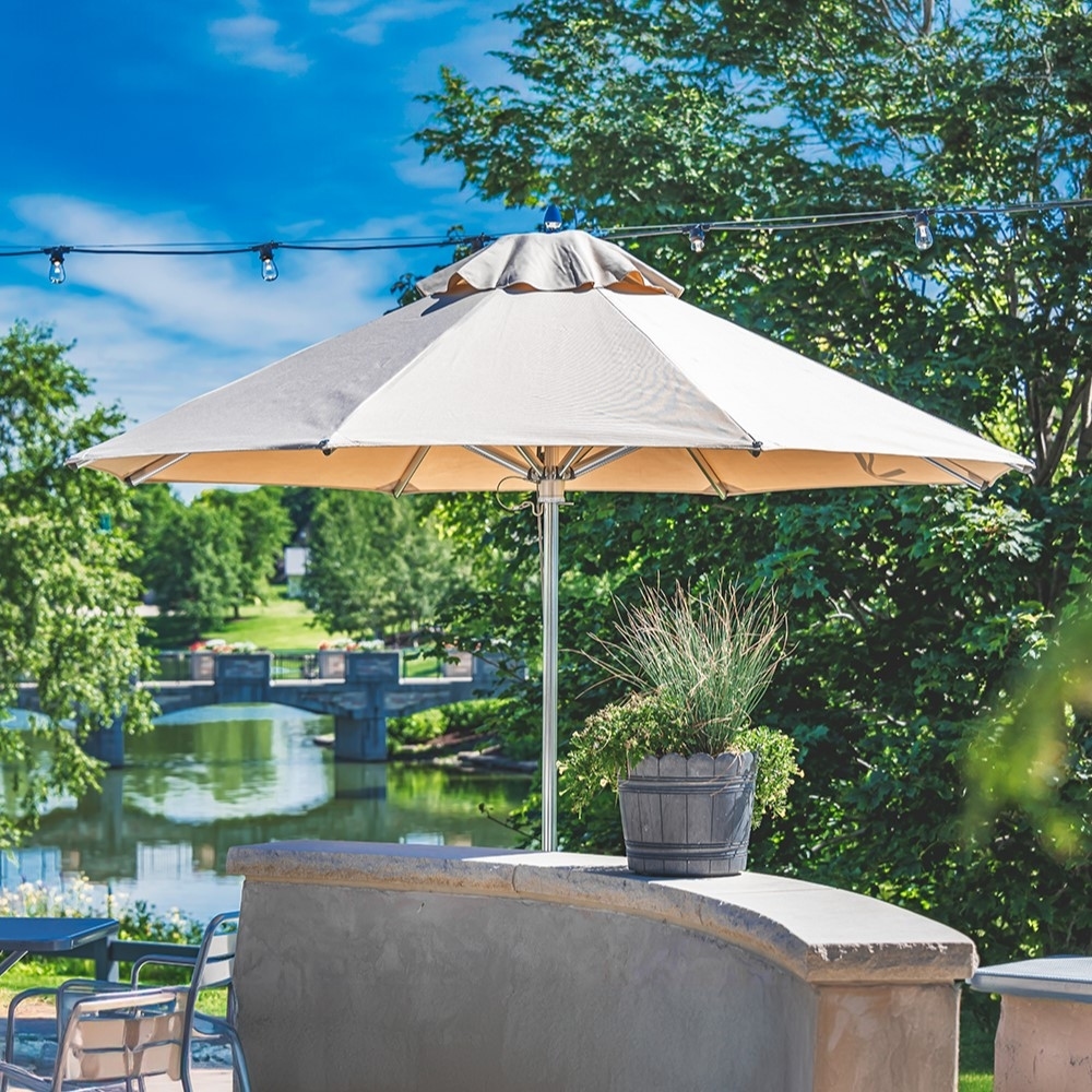 Collection Thumbnail