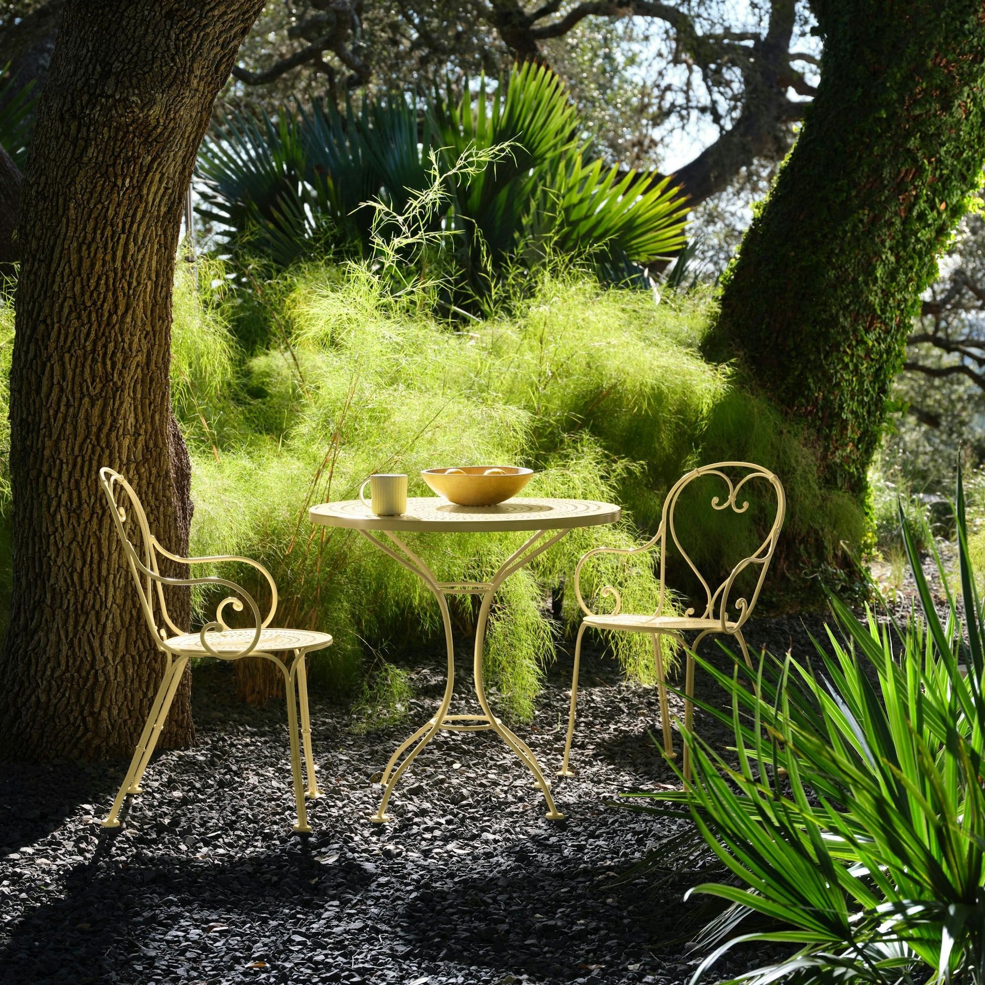 Collection Thumbnail