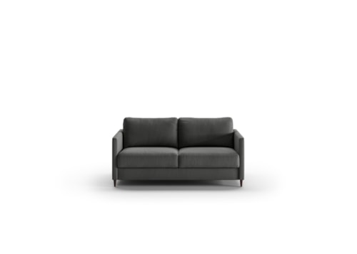Contemporary Queen Loveseat Sleeper