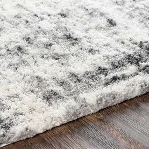Surya Rugs Aliyah Shag 7'10" x 10' Rug
