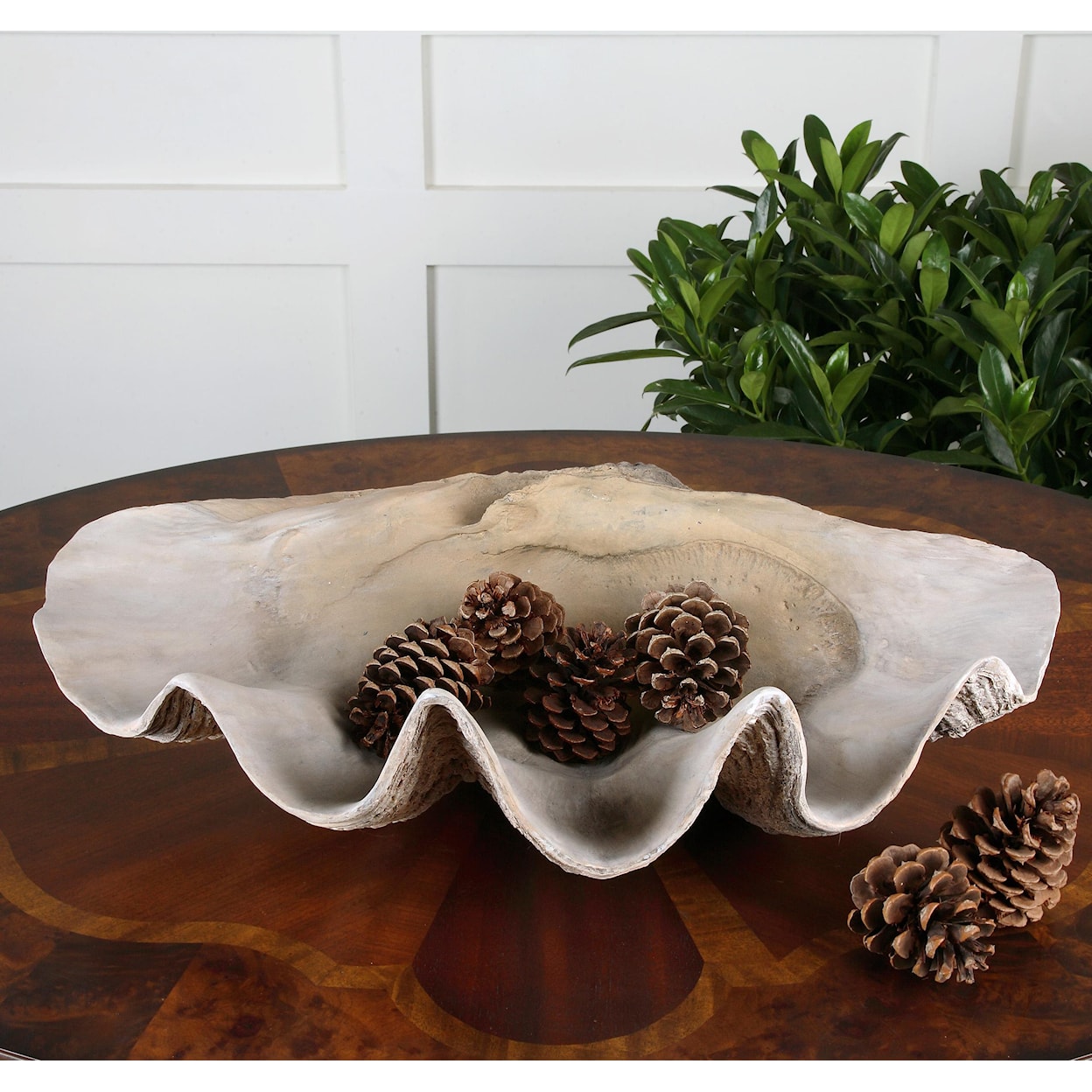 Uttermost Accessories Clam Shell Bowl