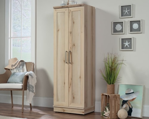 Contemporary Two-Door Storage Cabinet with Adjustable Shelving
