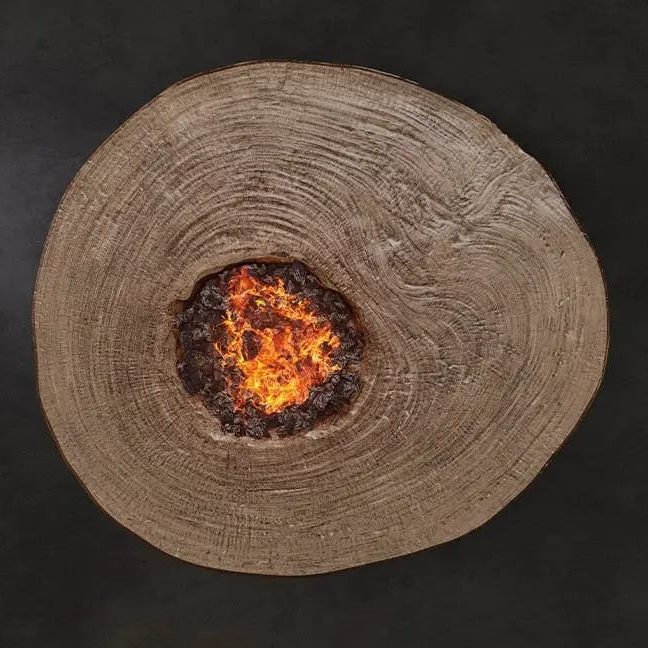 Collection Thumbnail