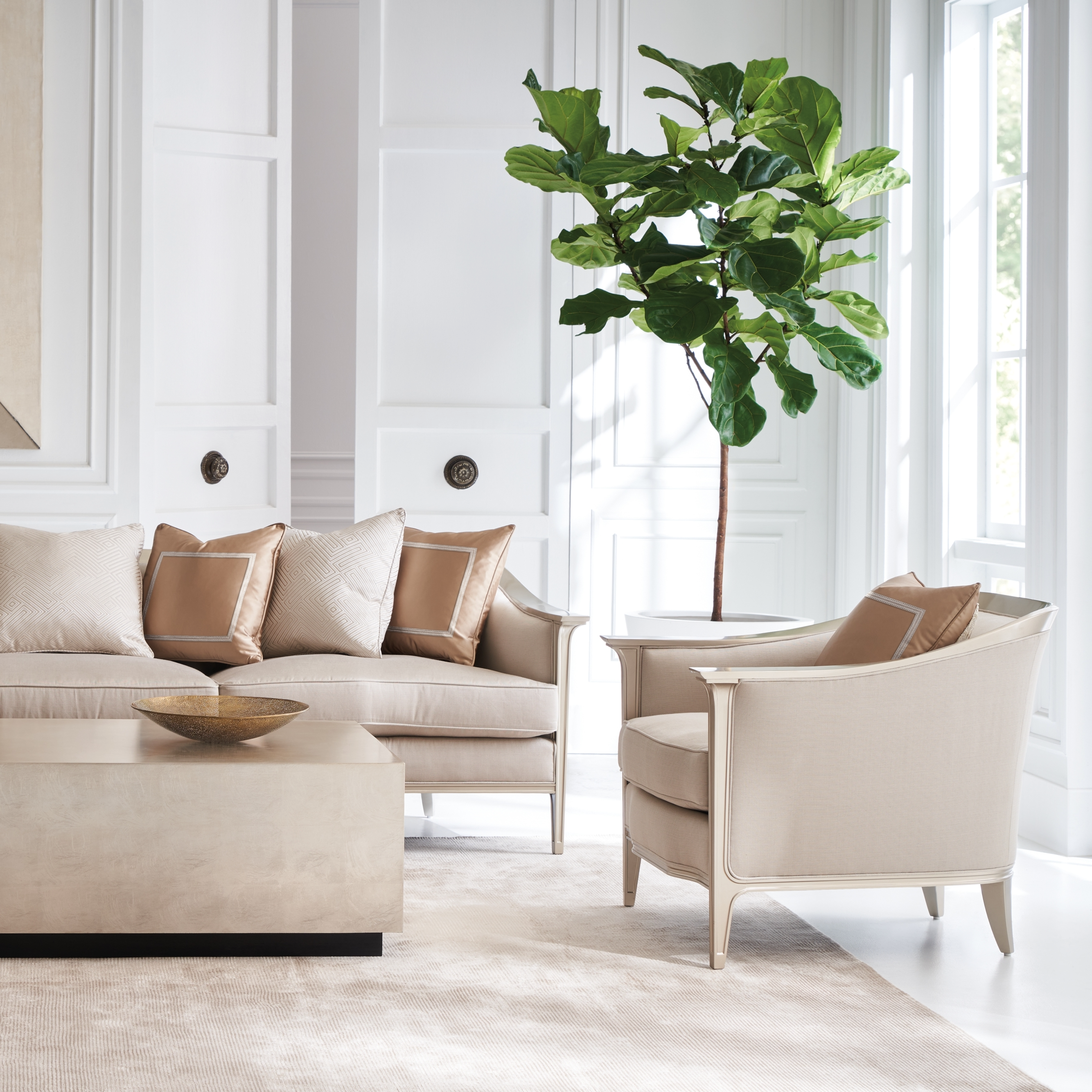 Collection Thumbnail