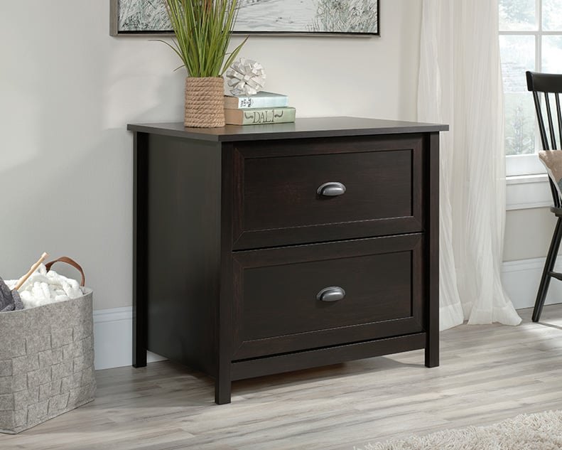 Transitional 2-Drawer Lateral File Cabinet
