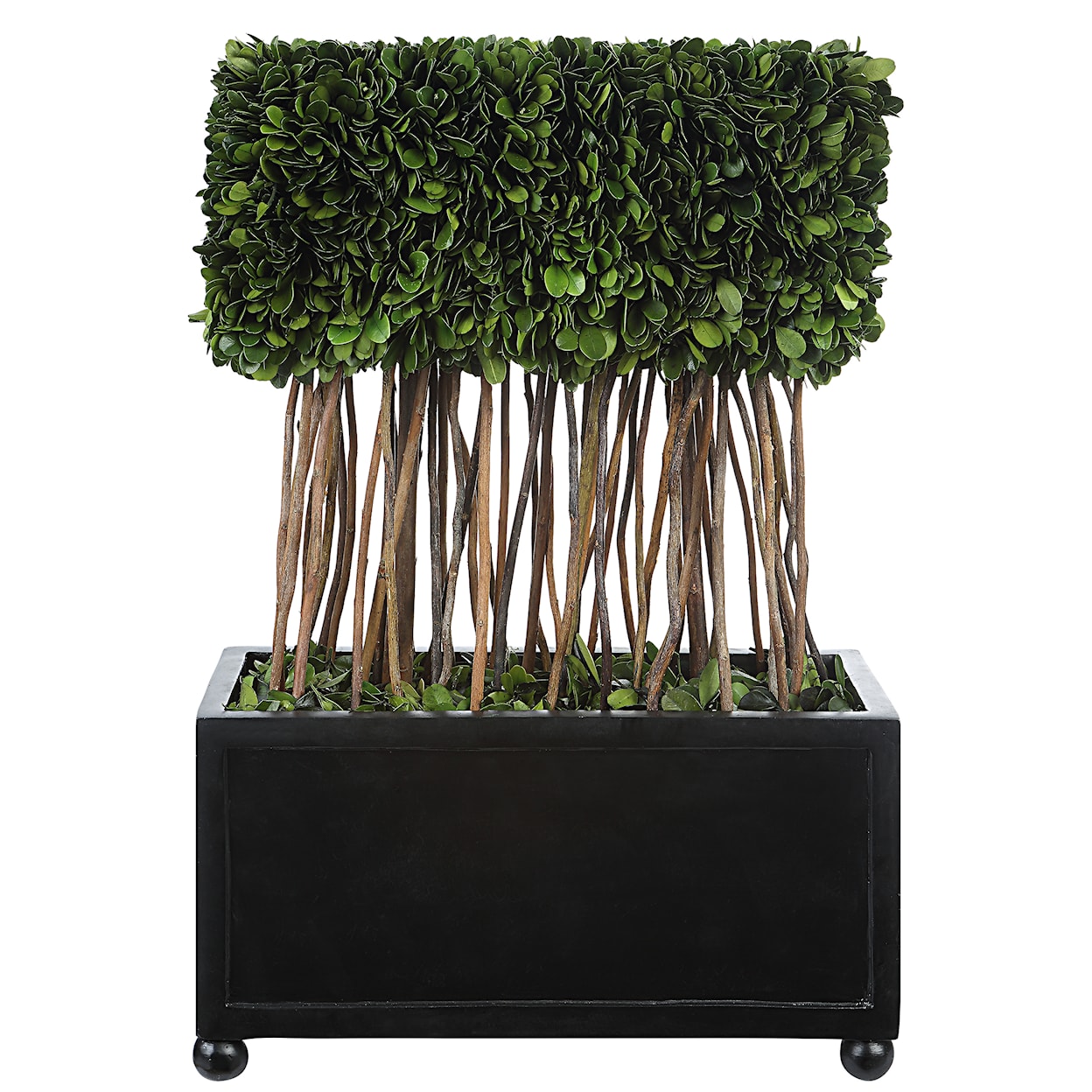 Uttermost Preserved Boxwood Preserved Boxwood Rectangular Topiary