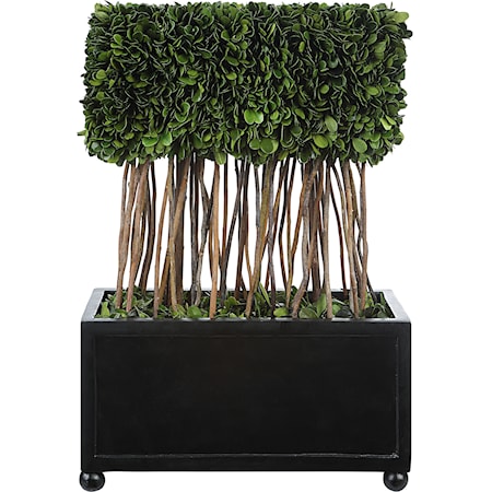 Preserved Boxwood Rectangular Topiary