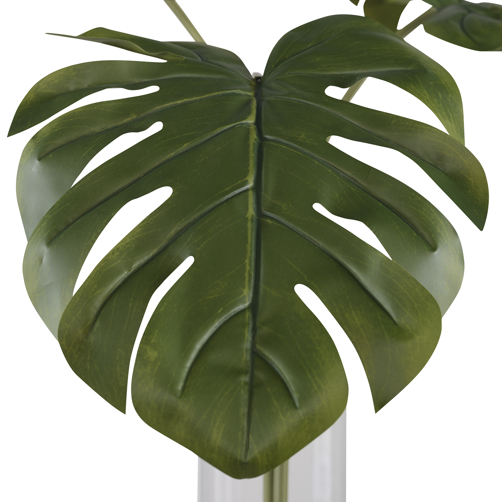 Uttermost Ibero Ibero Split Leaf Palm