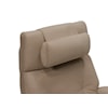 Palliser ZG4 ZG4 Zero Gravity Power Recliner