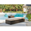 Signature Design by Ashley Coastline Bay Outdoor Chaise Lounge With Cushion