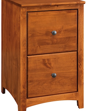 2 Drawer File