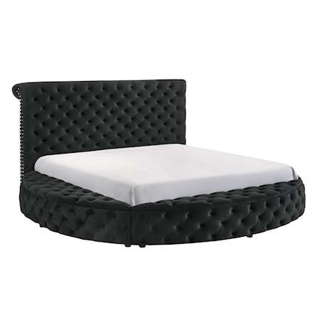 Queen Upholstered Bed - Black