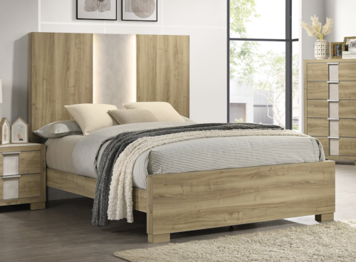 Contemporary Queen Panel Bed with Integrated Lighting