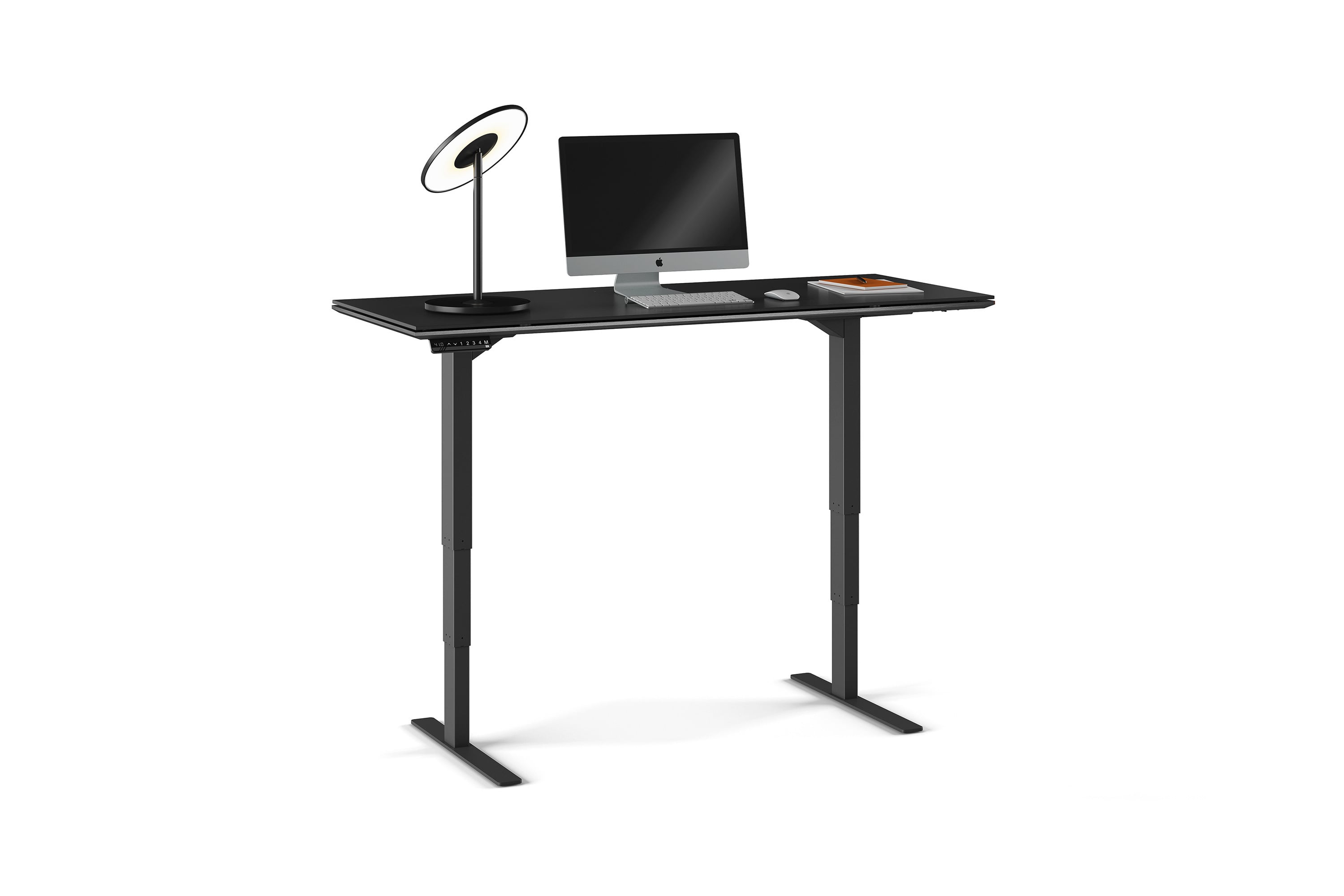 BDI Sequel 20 Standing Desk