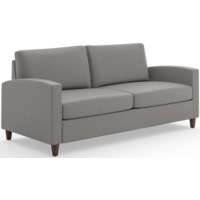Contemporary Sofa with Loose Cushions