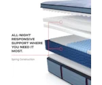 Sealy Posturepedic® Plus Hagerstown EPT Firm Hagerstown Euro Pillow Top Firm Full