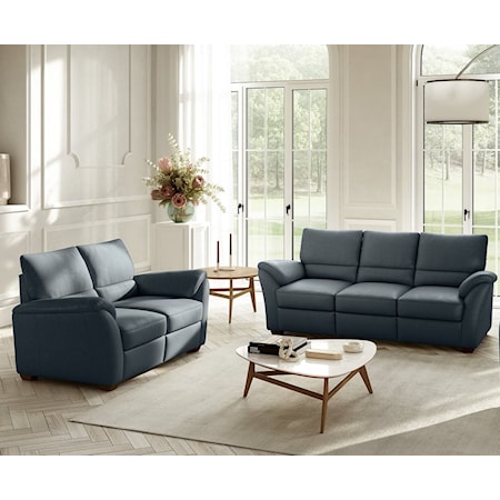 Sofa & Loveseat Set