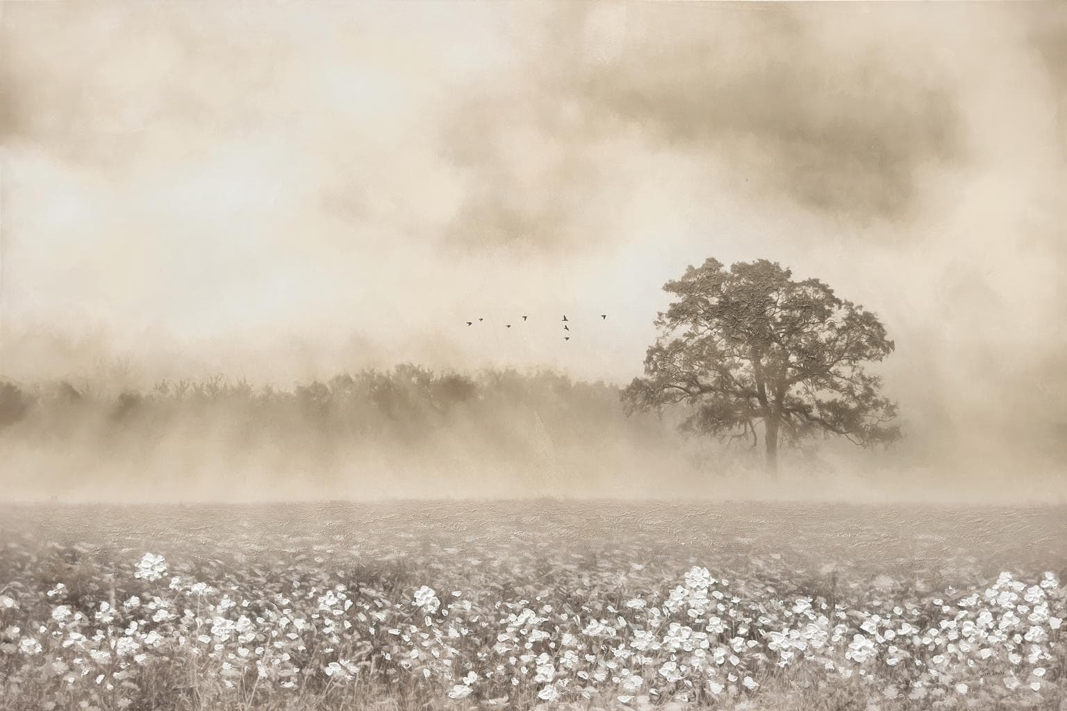 Hand Painted Textured Canvas