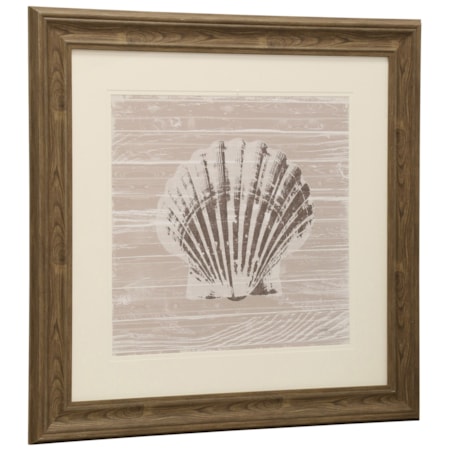 Seashell Print