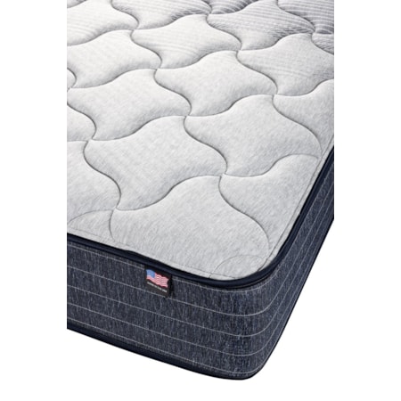 Queen Firm Mattress