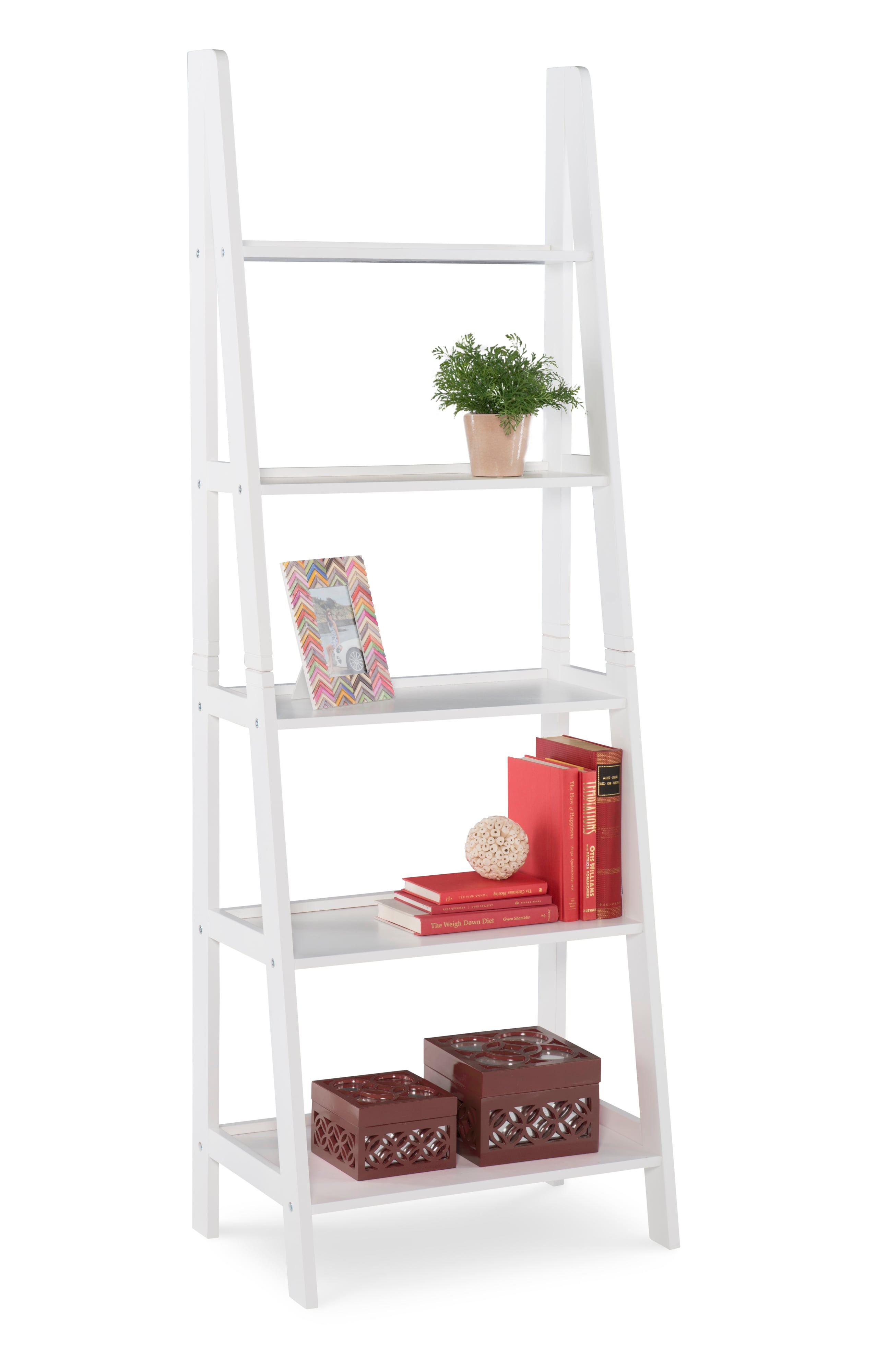 Ladder Bookshelf
