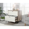 Sauder Anda Norr 2-Drawer Wooden File Cabinet