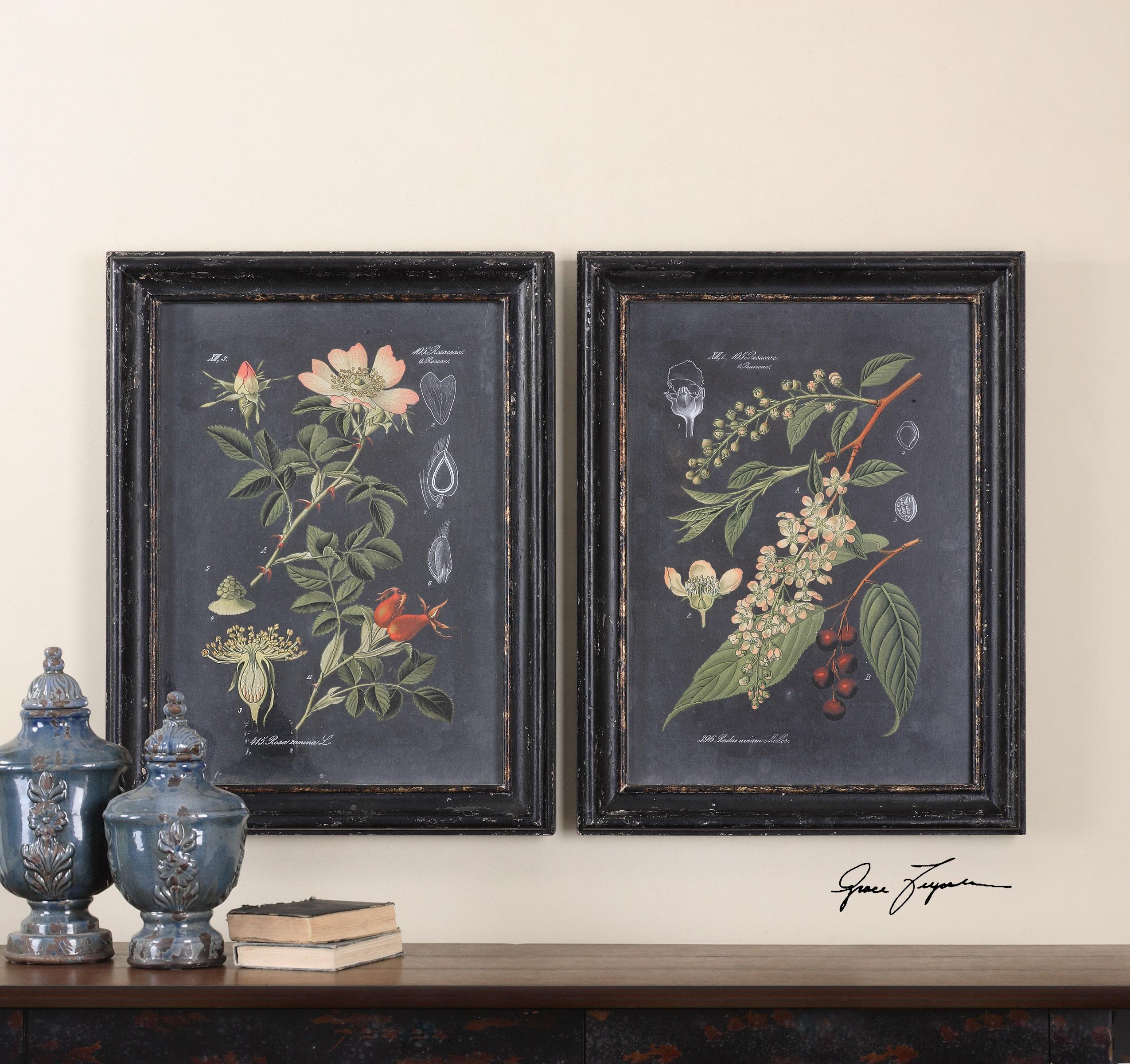 Uttermost Framed Prints Midnight Botanicals Framed Prints, Set of 2