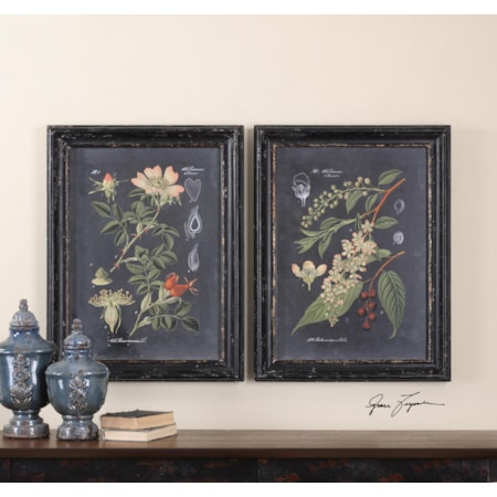 Midnight Botanicals Framed Prints, Set of 2