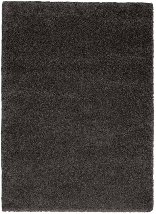 5'3" x 7'3" Dark Grey Rectangle Rug