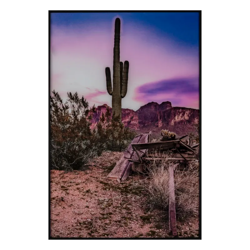 Collection Thumbnail