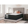 Sierra Sleep Limited Edition Firm Queen Mattress