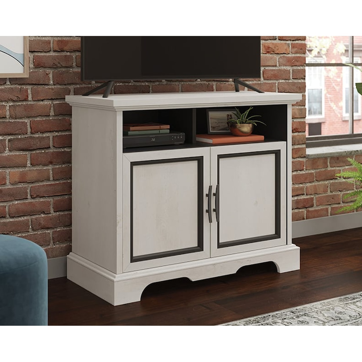 Sauder Carolina Grove 2-Door TV Stand