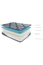Sierra Sleep 12 Inch Ashley Hybrid King 12" Firm Hybrid Bed-In-A-Box Mattress and Better Head and Foot Adjustable Base