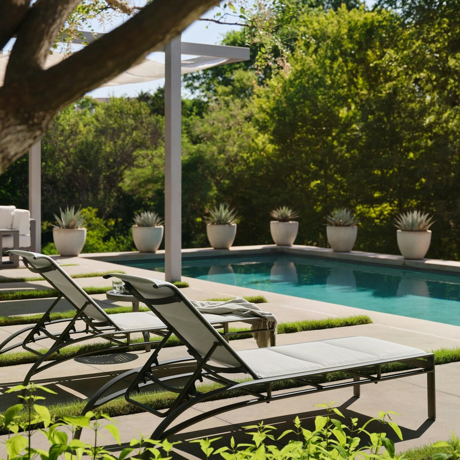 Collection Thumbnail