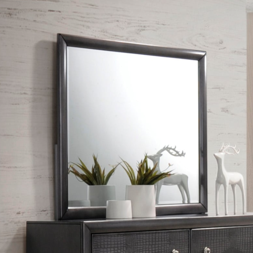 Reno Transitional Dresser Mirror
