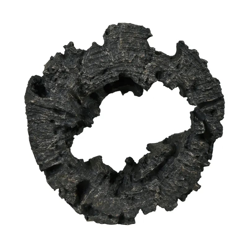 Collection Thumbnail