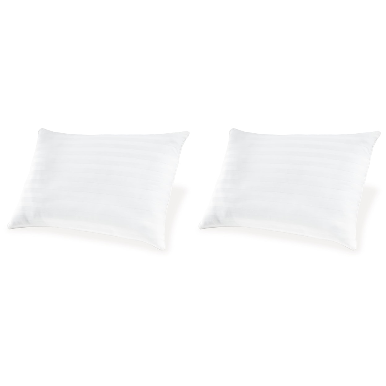 Sierra Sleep Zephyr 2.0 Cotton Pillow (Set Of 2)(9/Cs)