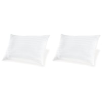 Cotton Pillow (Set Of 2)