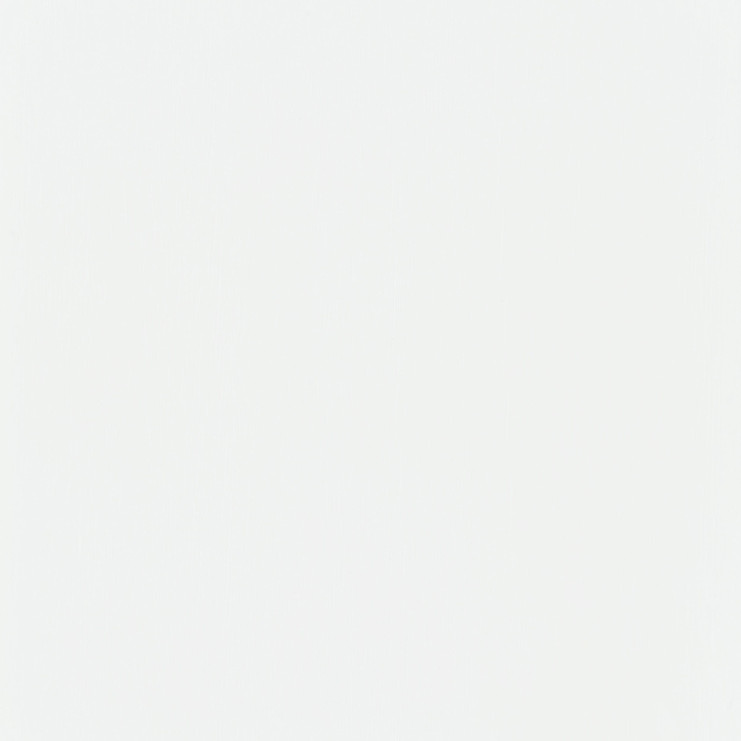 Coaster Roberto 4-Panel Room Divider Folding Shoji Screen