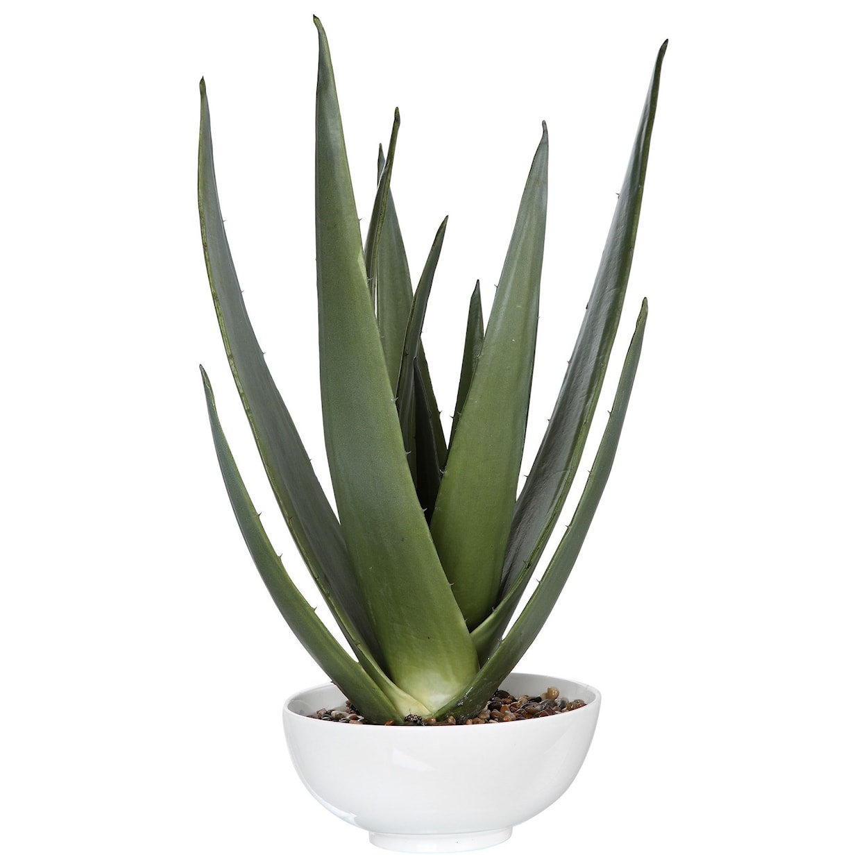 Uttermost Botanicals Evarado Aloe Planter